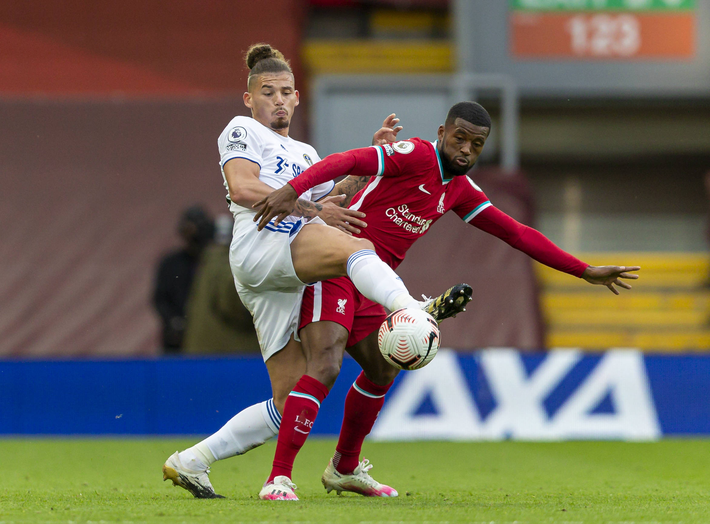 森林狼有意 森林狼有意